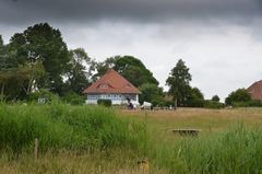 die Besondere Insel Hiddensee 