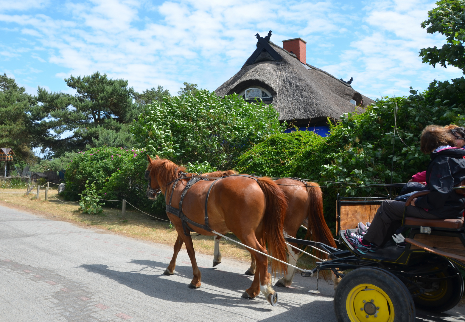 die Besondere Insel Hiddensee 