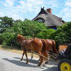 die Besondere Insel Hiddensee 