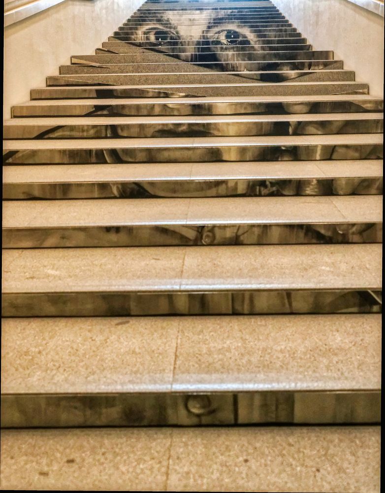 die besondere Treppe