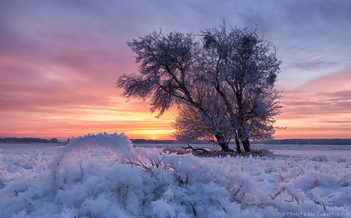 "die besseren Wintertage"