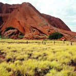 Die Besteigung des Uluru