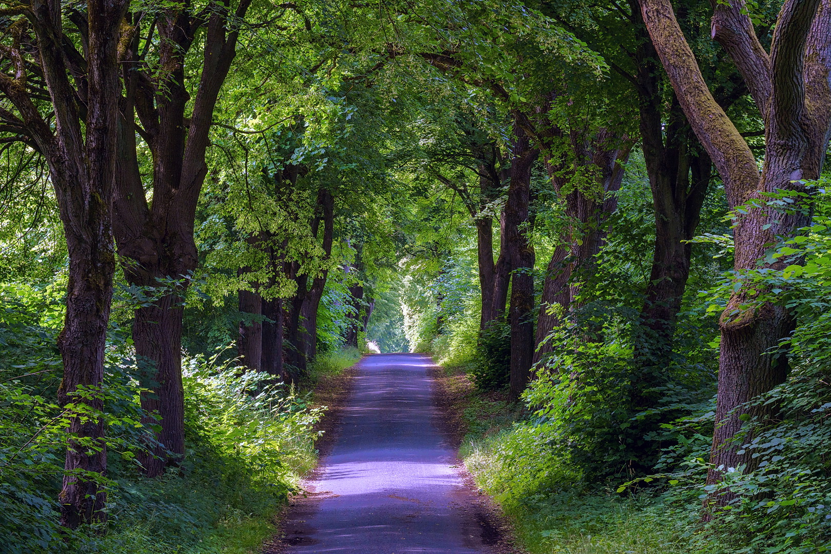 Die besten Radwege