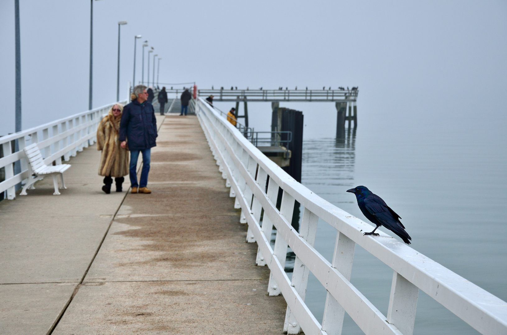 Die Besucher