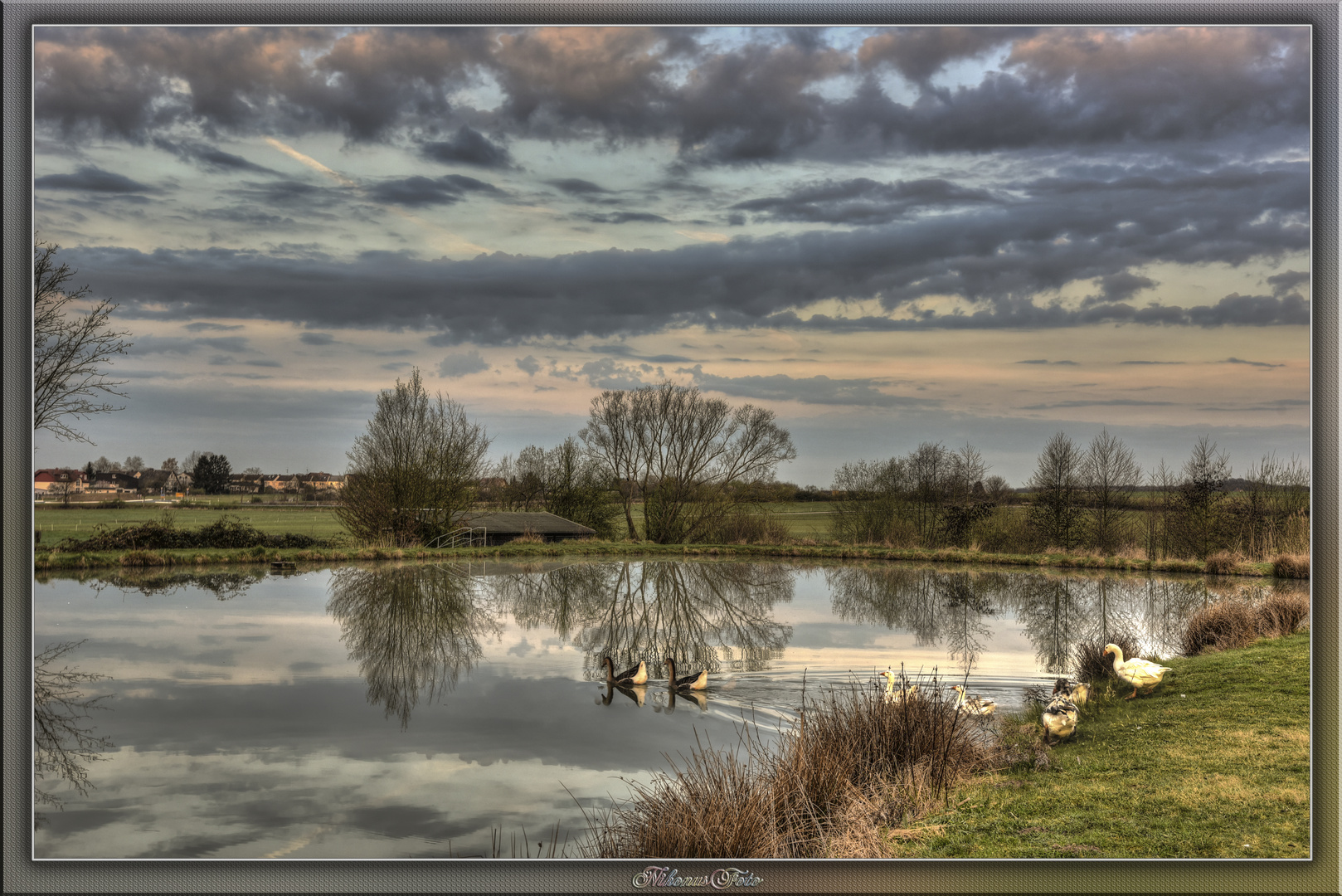 die Besucher