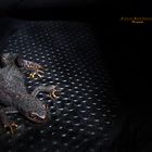 "Die Besucher - Salamander im Gartenschuh* Serien-Ende