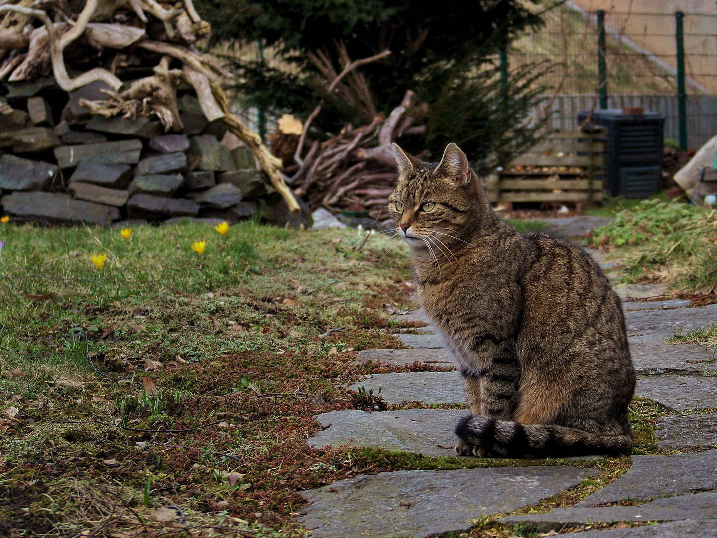 Die Besucherin