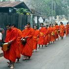 die Bettelmönche von Luang Prabang