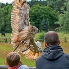 Die Beute fest im Blick 