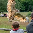 Die Beute fest im Blick