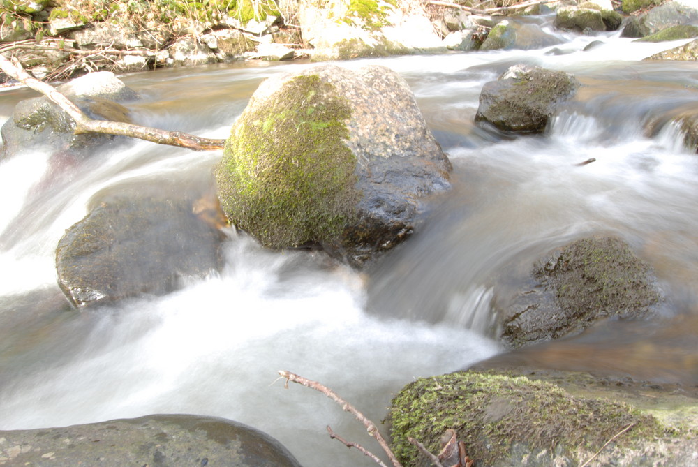 Die Bewegung des Wassers