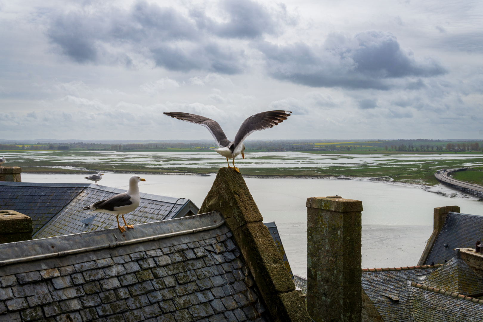 Die Bewohner von Mont Saint Michel