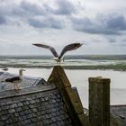 Die Bewohner von Mont Saint Michel