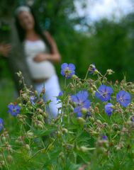 Die Bienchen und die Blümchen!