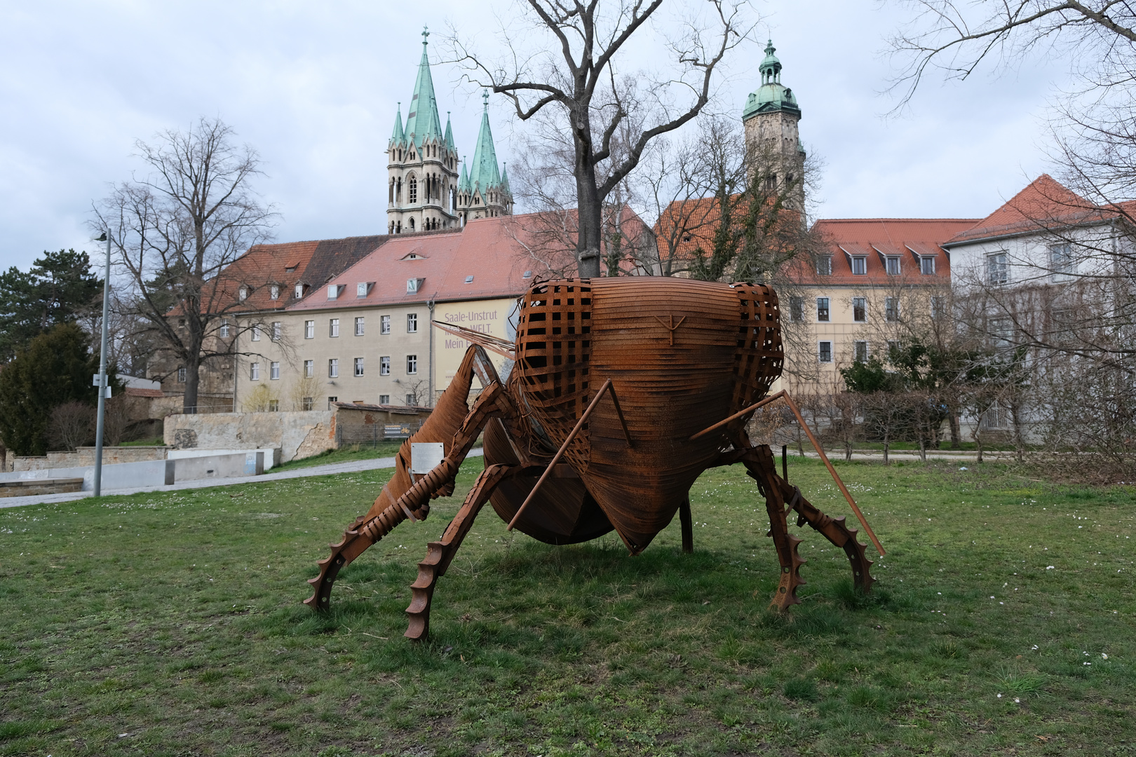 Die Biene und der Dom