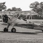 Die Bienenfarm-Boeing