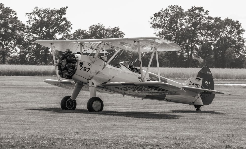 Die Bienenfarm-Boeing