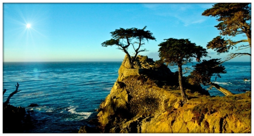 Die Bilderbuchküste - Central Coast - Lone Cypress