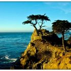 Die Bilderbuchküste - Central Coast - Lone Cypress