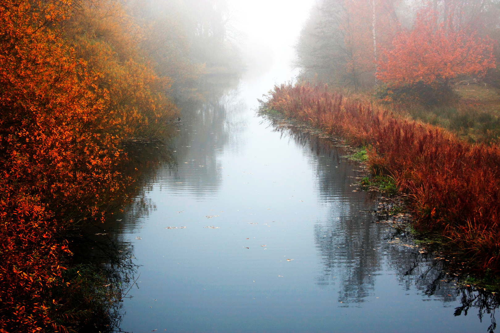 Die Bille im Nebel