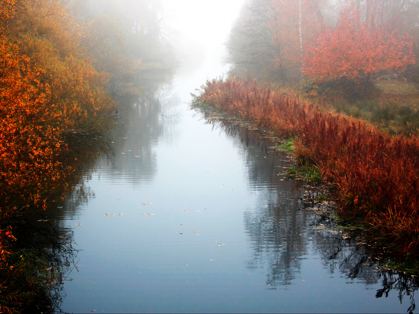 Die Bille im Nebel