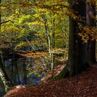 Die Bille im Sachsenwald