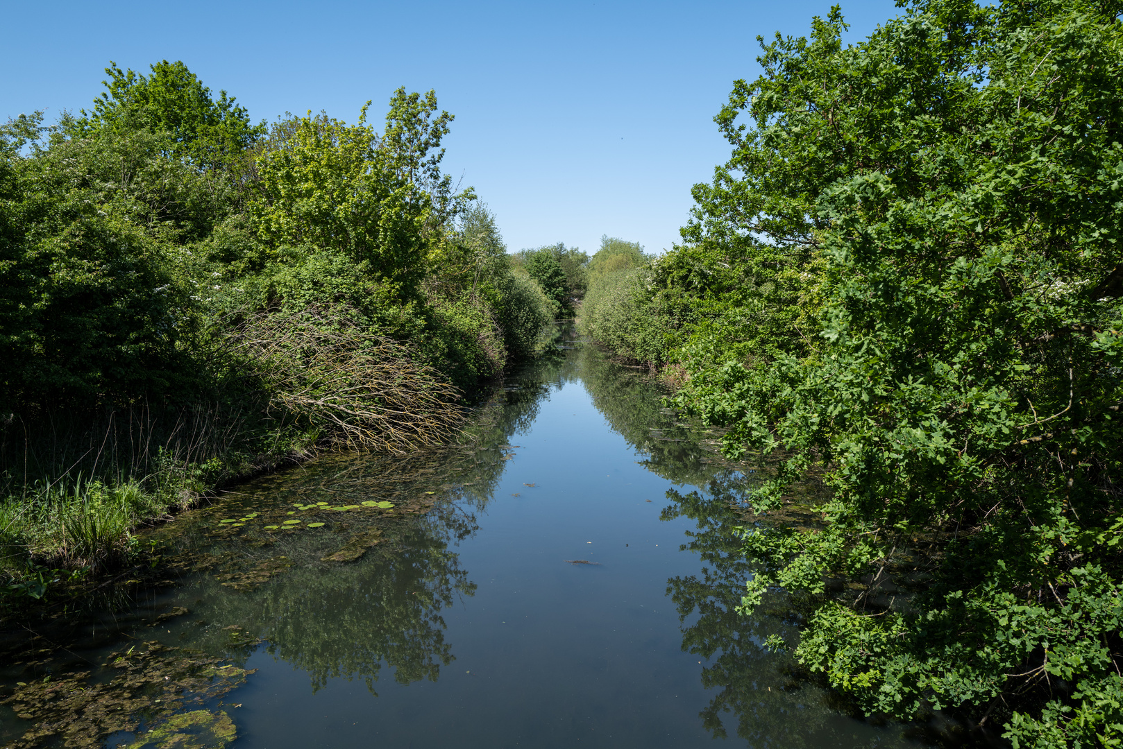 Die Bille in der Boberger Niederung