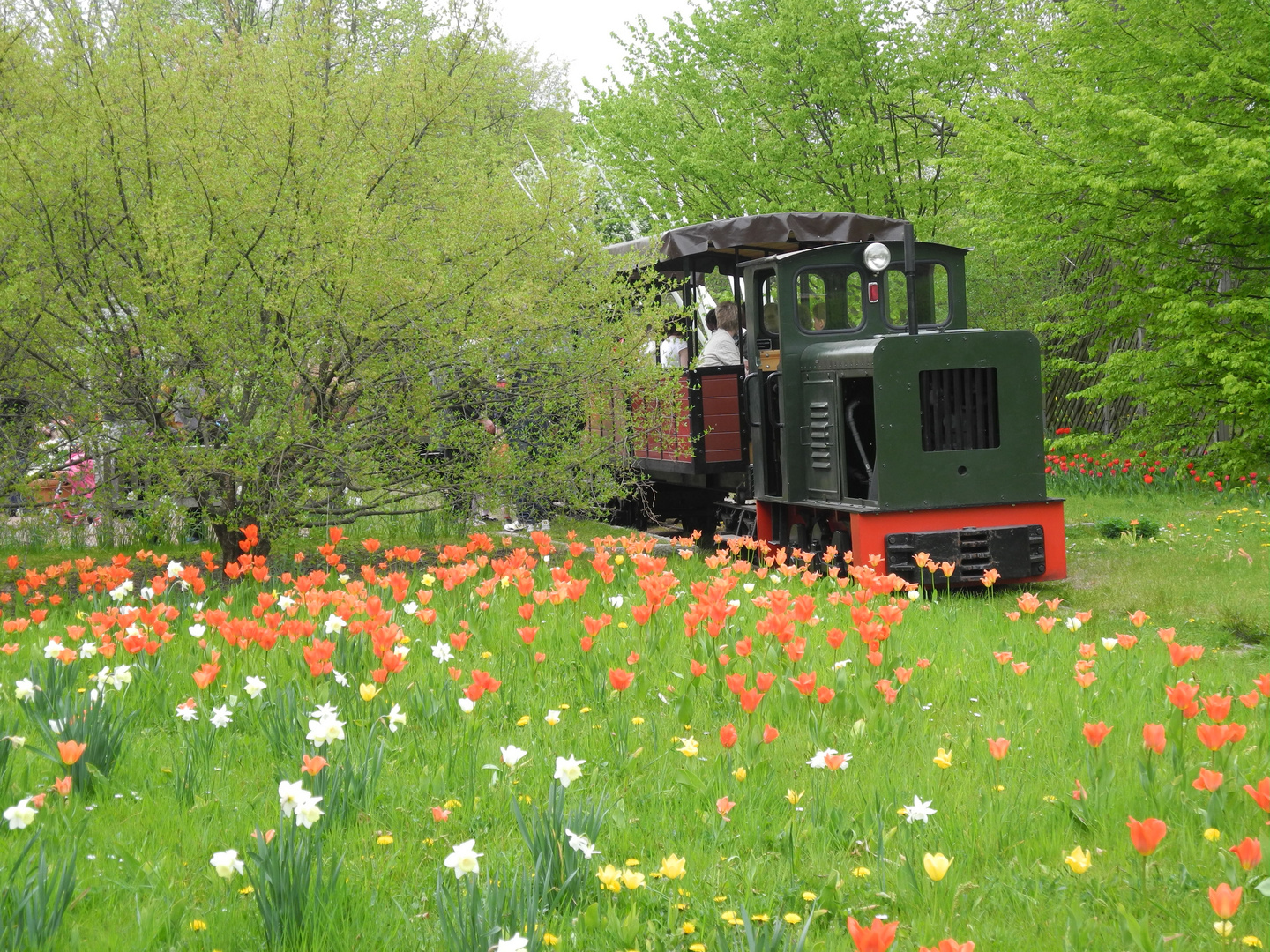 Die Bimmelbahn im Britzer Garten