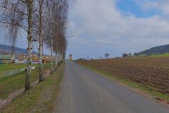 die Birken am Sportplatz