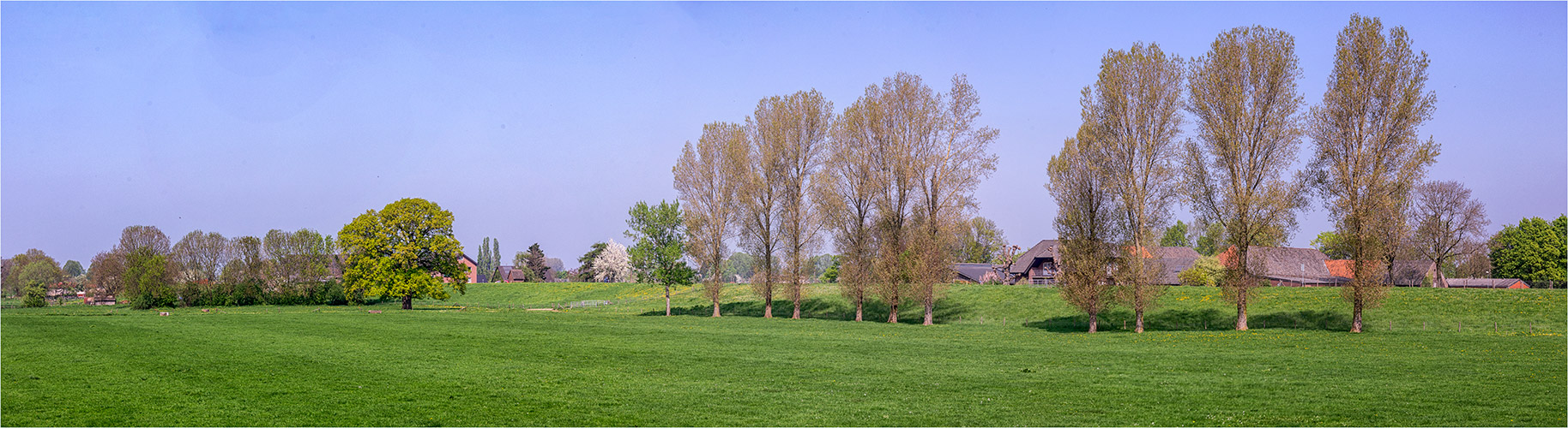 Die Bisslicher Insel