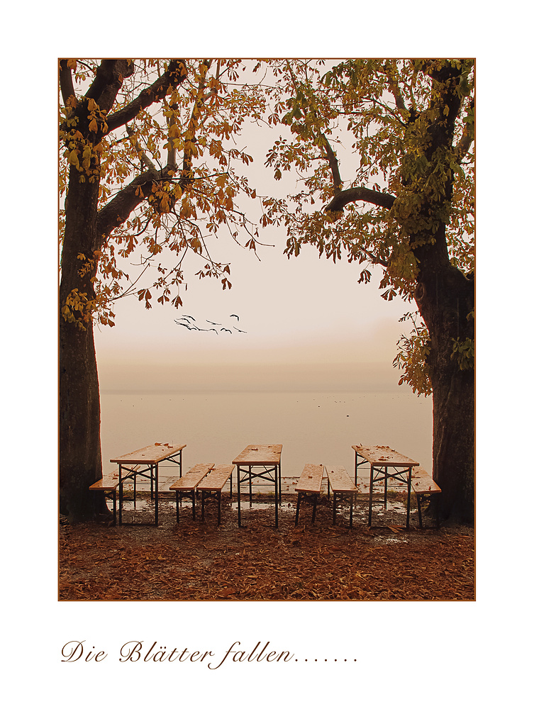 Die Blätter Fallen Fallen Wie Von Weit Rilke Die Blätter fallen... Foto & Bild | querschnitt, see, herbst Bilder auf
