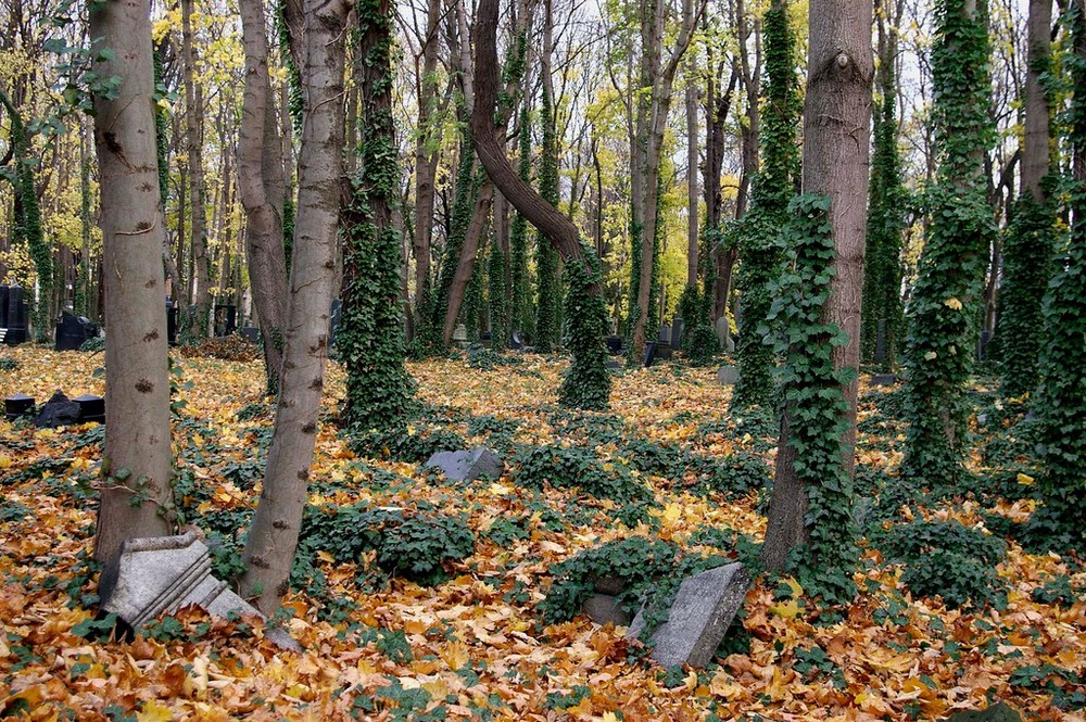 Die Blätter fallen