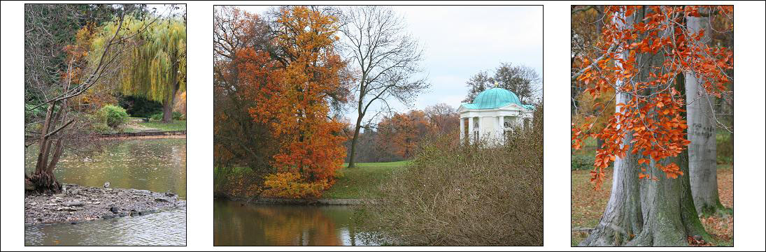 Die Blätter fallen,die Natur schläft ein.