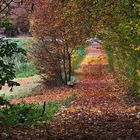 die Blätter verschönern die Wegstrecke