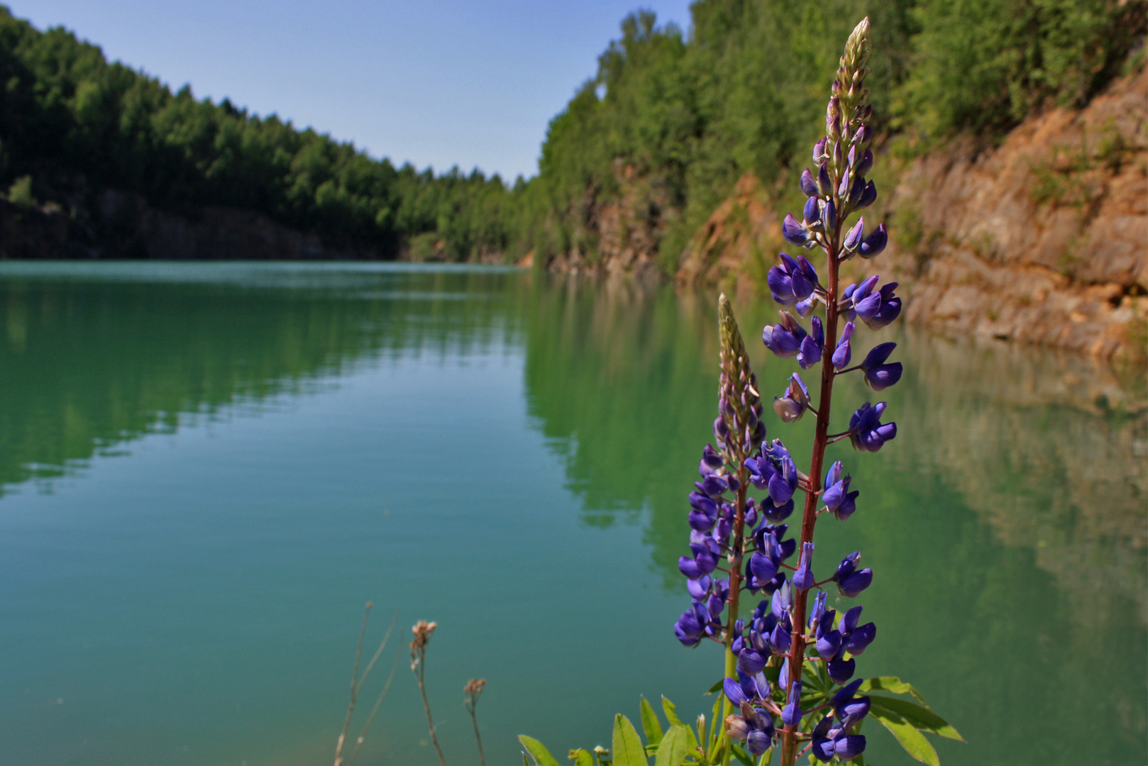 die blaue