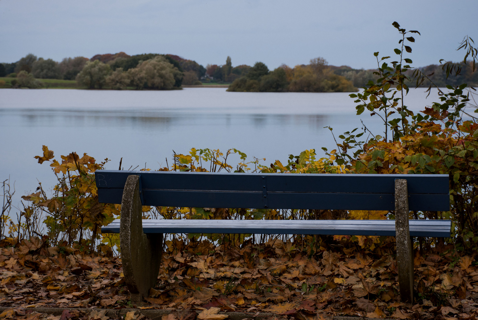 Die blaue Bank