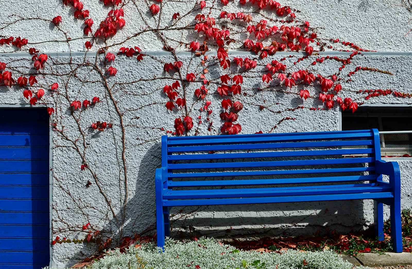 ~~~ Die blaue Bank ~~~