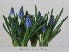 Die blaue Blume....