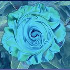 Die Blaue Blume der Romantik - gesucht und gefunden!