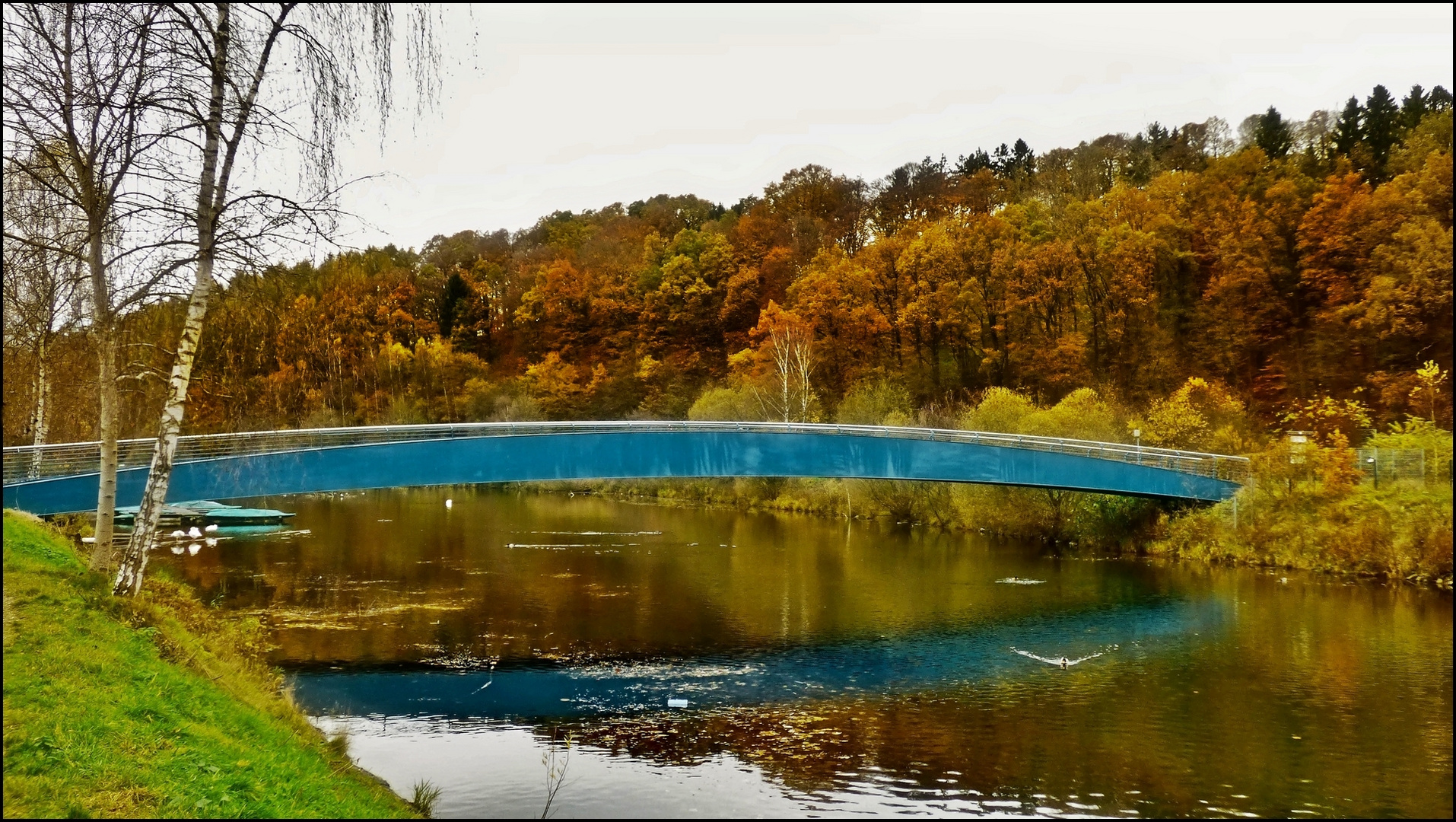 Die blaue Brücke 