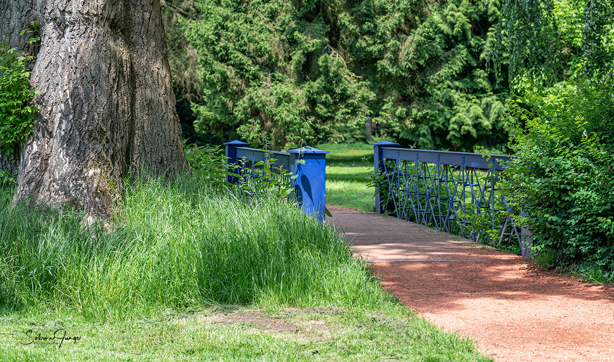 Die blaue Brücke