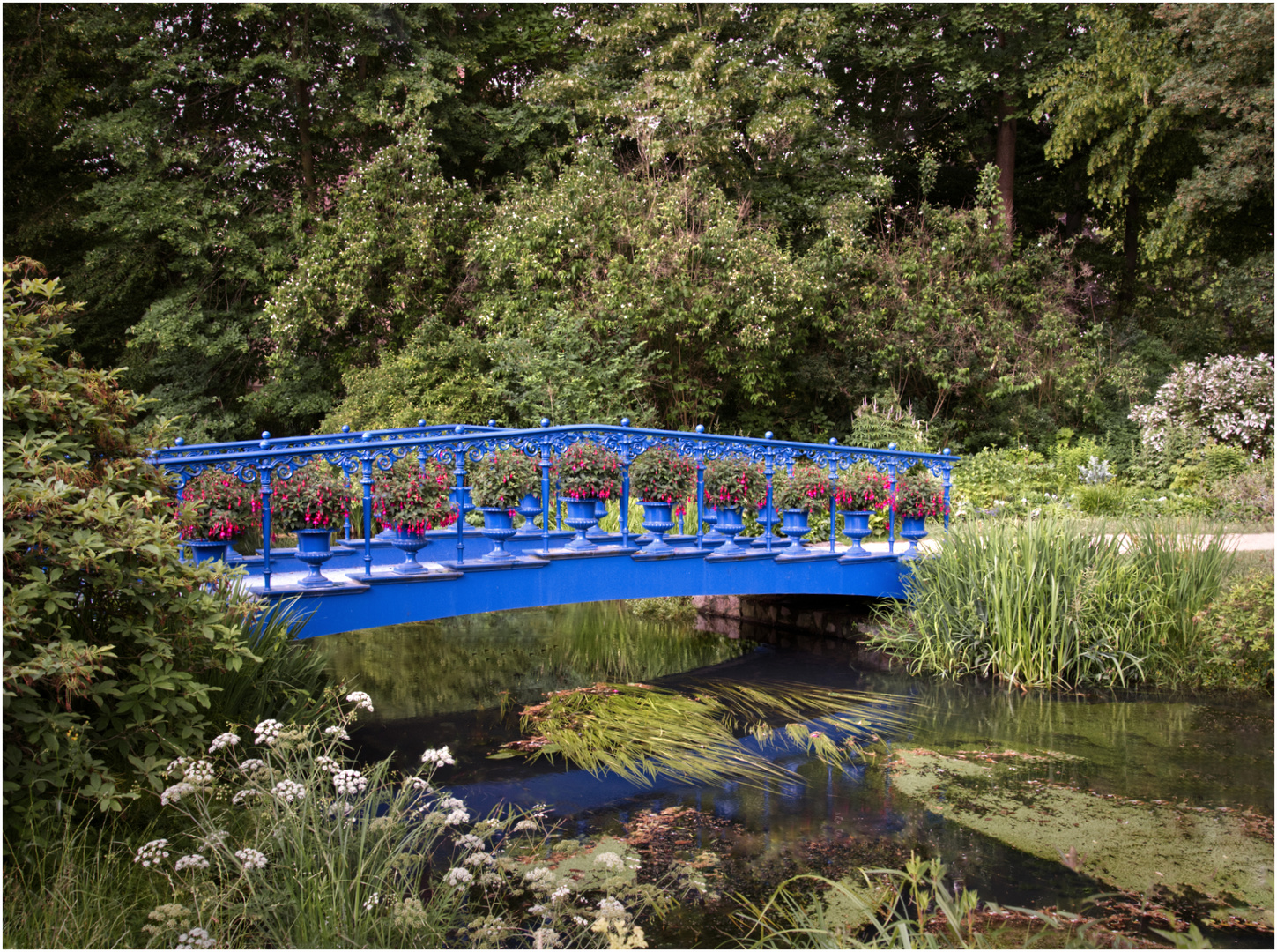 Die blaue Brücke