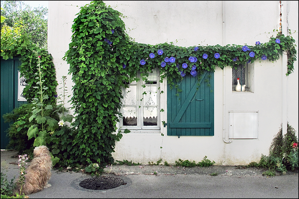 Die blaue Girlande