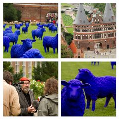 Die blaue Herde in Lübeck