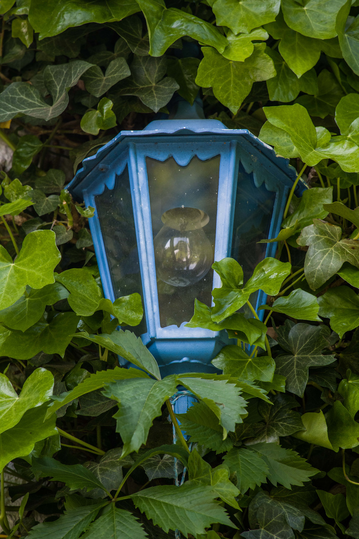 die blaue Lampe bleibt jetzt aus denn es ist lange hell