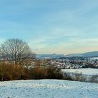 Die blaue Mauer