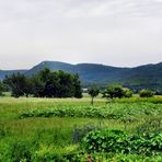 die" Blaue Mauer"