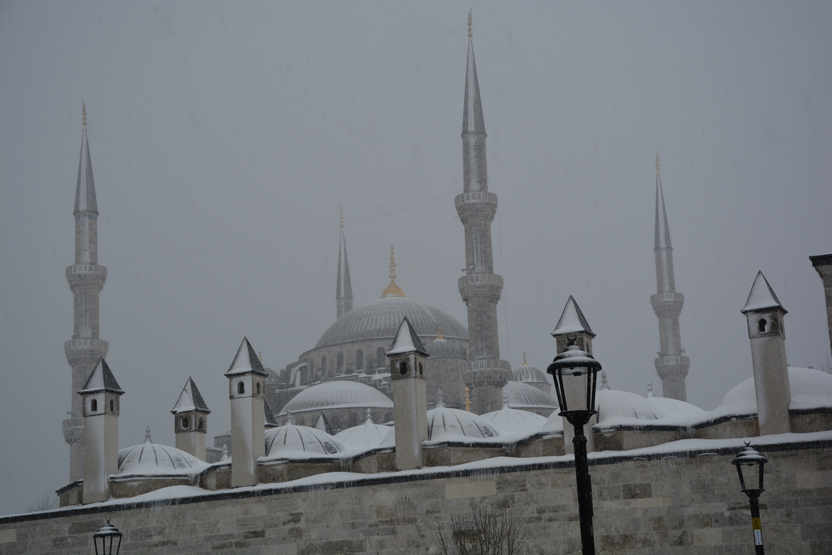 Die blaue Moschee in Grau