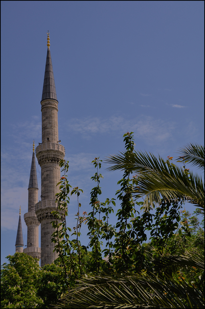Die blaue Moschee in Istanbul