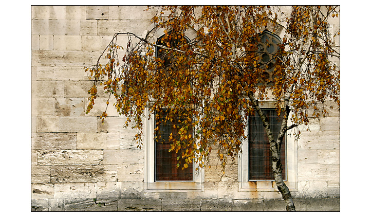 Die blaue Moschee / The blue mosque 6